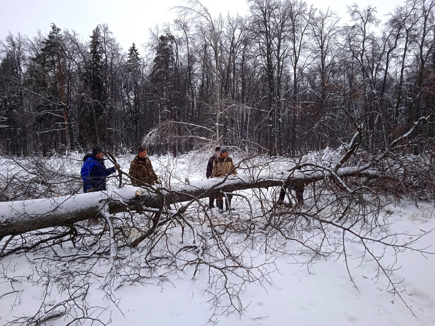 После ледяного дождя работники ВЗСП восстановили лыжную трассу в п. Вурнары